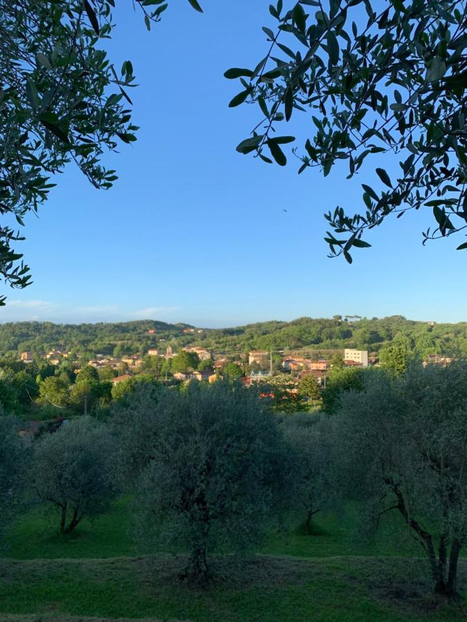 Marziani Rustic Tuscan House Capannori Bagian luar foto