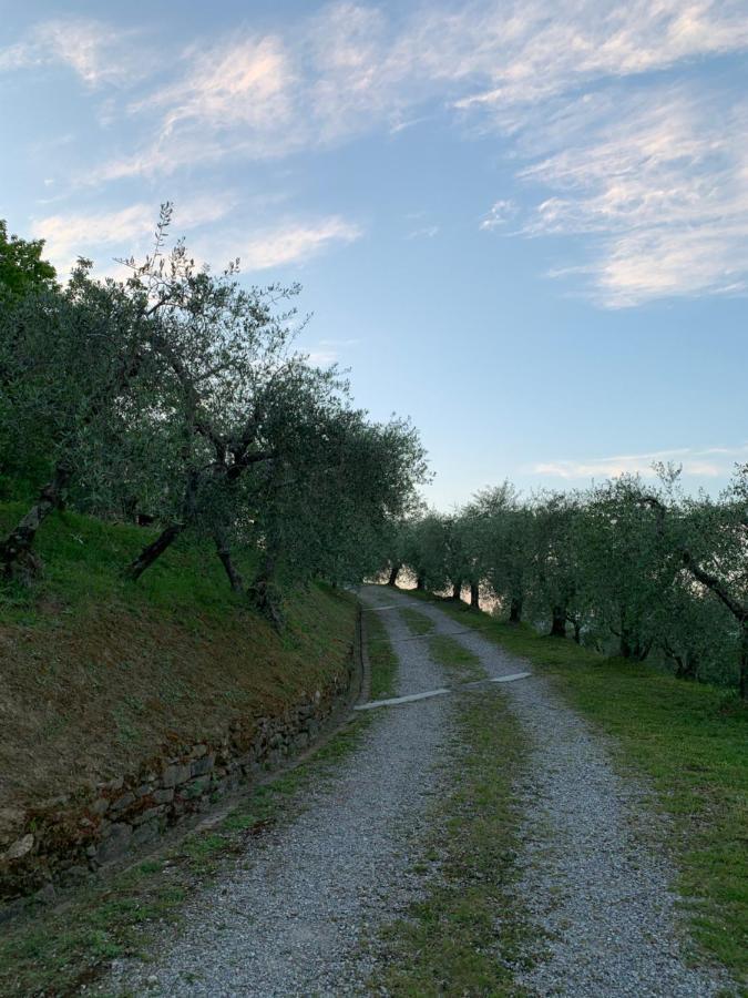 Marziani Rustic Tuscan House Capannori Bagian luar foto